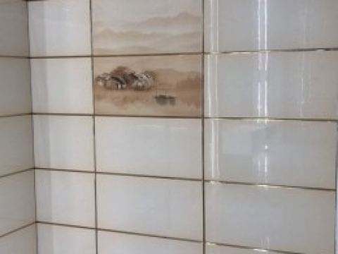 GẠCH ỐP TƯỜNG